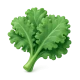 Organic Zone